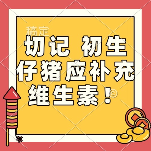 切记 初生仔猪应补充维生素！