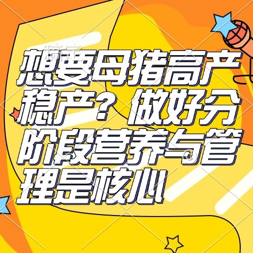 想要母猪高产稳产？做好分阶段营养与管理是核心