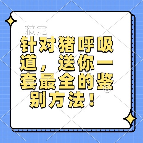 针对猪呼吸道，送你一套最全的鉴别方法！