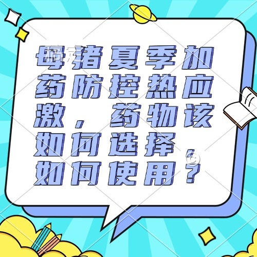 母猪夏季加药防控热应激，药物该如何选择，如何使用？