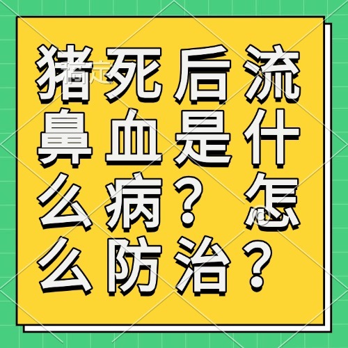 猪死后流鼻血是什么病？怎么防治？