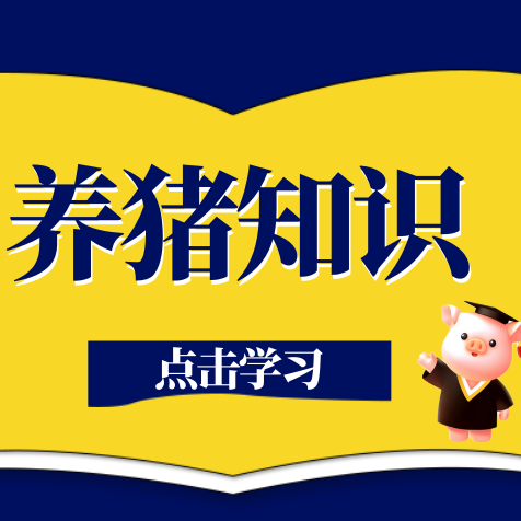 雨季猪场六大防控要点，一定要重视