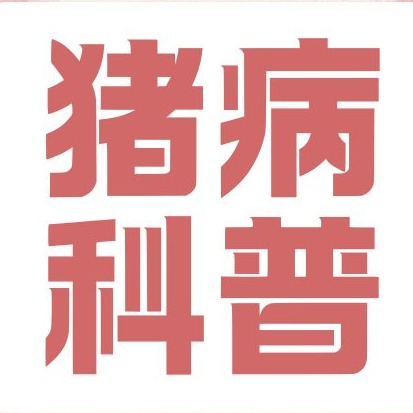猪生病不一定非要打针！这些细节要知道