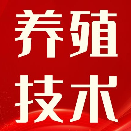 养猪7成开销在饲料！解决3大堵点，大幅提升饲料转化率