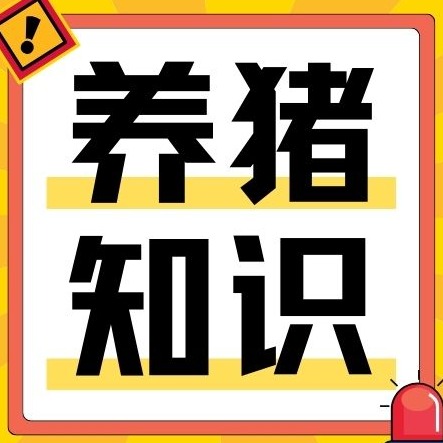 抗生素、疫苗全没用！产房仔猪反复拉稀、消瘦，真正元凶就这4个