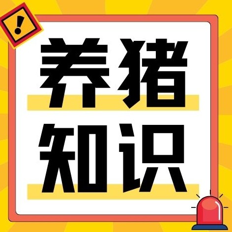 暴雨洪涝过后，为啥一定要严防炭疽？如何有效防控？