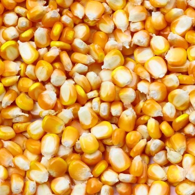 BAGE：阿根廷大豆收获结束，产量维持5010万吨不变