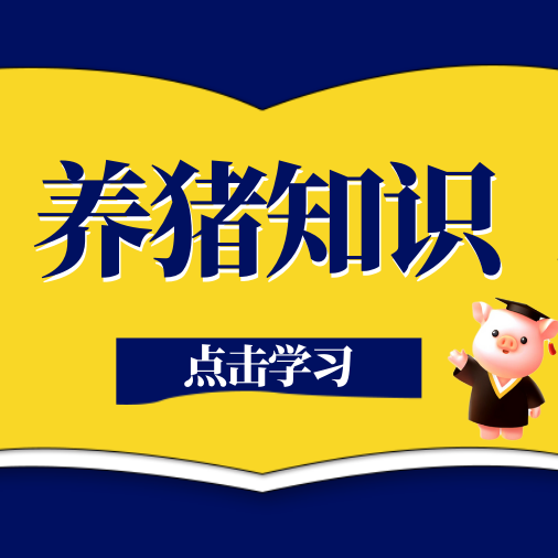 哺乳母猪夏季采食量低，7个解决办法分享