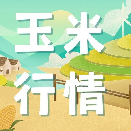 2026年7月14日全国各省市玉米价格行情，陈粮出库叠加替代品冲击！玉米价格还有上涨机会吗？
