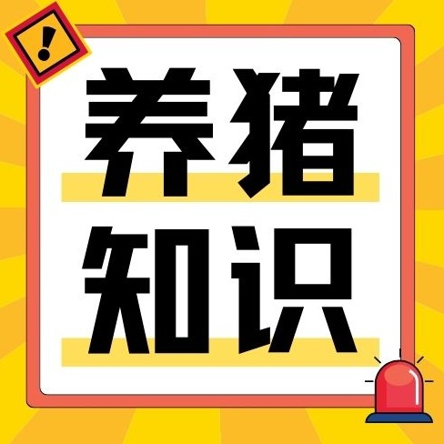 猪场如何避免饲料发霉变质，提升饲料营养价值？