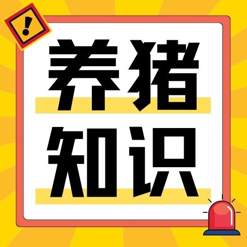 猪场夏季降温总没效果？4个常见错误，很多猪场都中招！