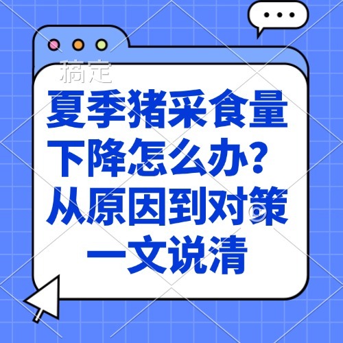 夏季猪采食量下降怎么办？从原因到对策一文说清