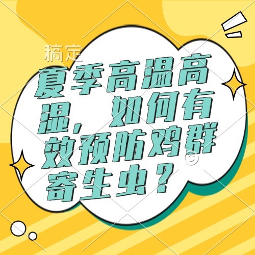 夏季高温高湿，如何有效预防鸡群寄生虫？