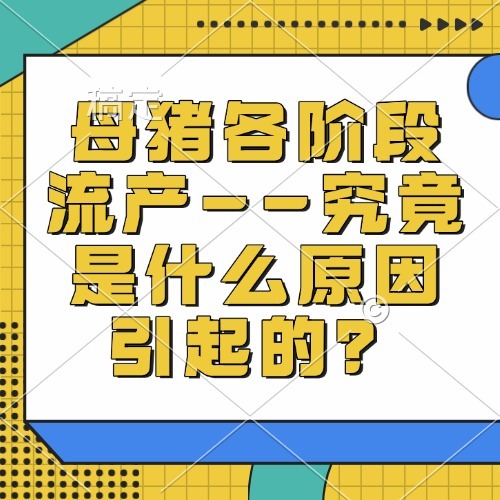 母猪各阶段流产--究竟是什么原因引起的？