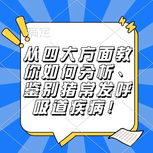 从四大方面教你如何分析、鉴别猪常发呼吸道疾病！