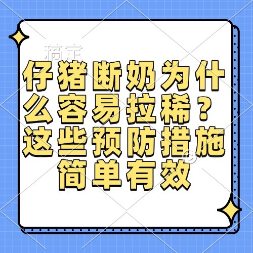 仔猪断奶为什么容易拉稀？这些预防措施简单有效
