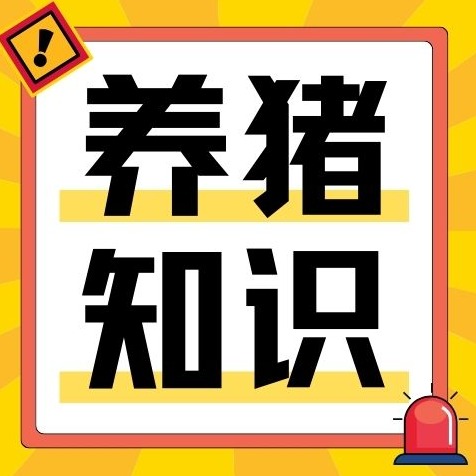 别被名字误导！前列腺素到底是什么