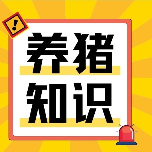 养猪消毒剂分类对比，优缺点一目了然