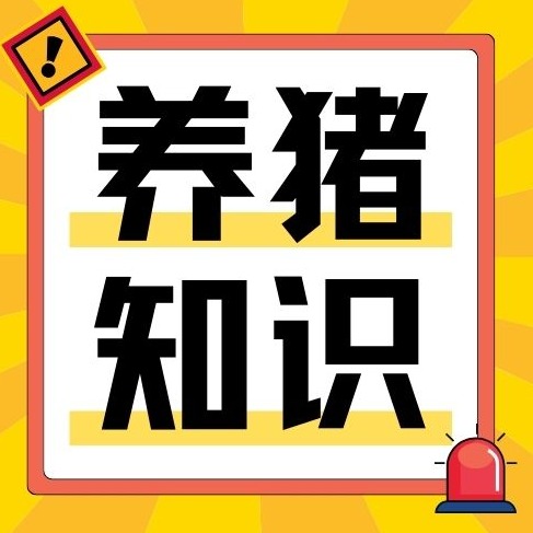 玉米、豆粕、菜粕喂猪有哪些坑？原料水分、添加比例一文看懂