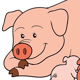 母猪产后保健方案