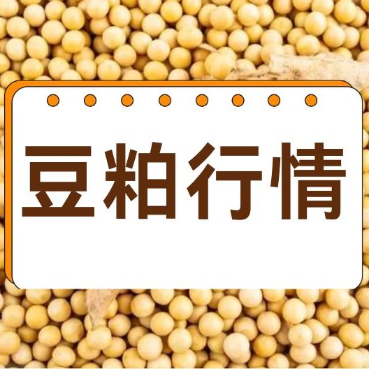 2026年7月22日全国各省市豆粕价格行情，供应宽松需求偏弱，豆粕短期还有上涨动力吗？