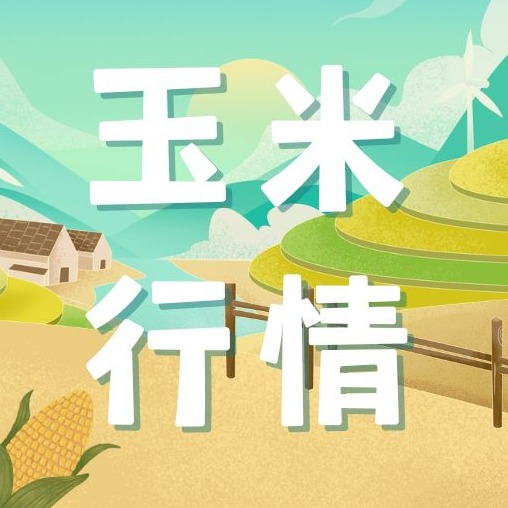 2026年7月22日全国各省市玉米价格行情，替代粮源供应充足，玉米价格偏弱运行！