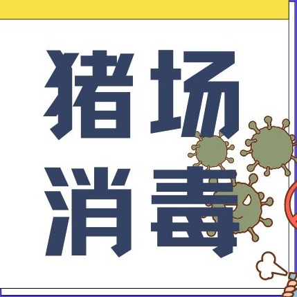 夏季怎样提高哺乳母猪采食水平？日粮搭配 + 饲喂技巧一文讲透 互联网 2026-07