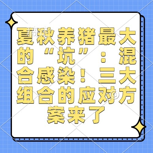 夏秋养猪最大的&ldquo;坑&rdquo;：混合感染！三大组合的应对方案来了