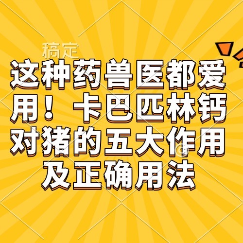 这种药兽医都爱用！卡巴匹林钙对猪的五大作用及正确用法