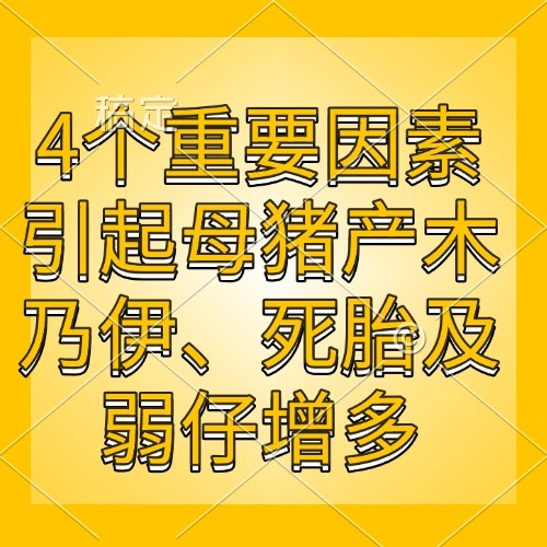 4个重要因素引起母猪产木乃伊、死胎及弱仔增多