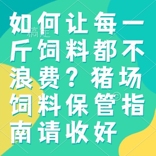 如何让每一斤饲料都不浪费？猪场饲料保管指南请收好