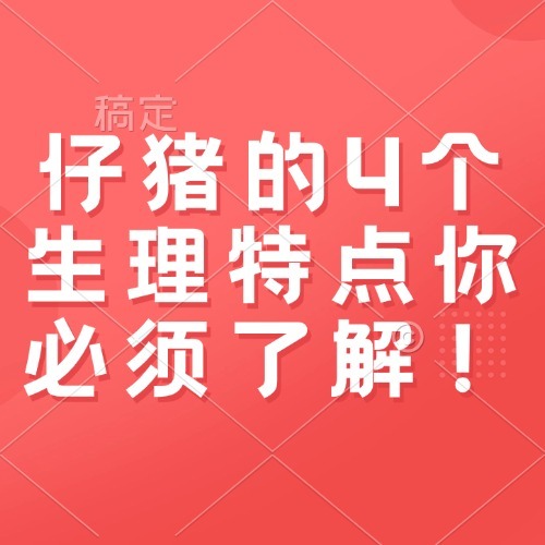 仔猪的4个生理特点你必须了解！