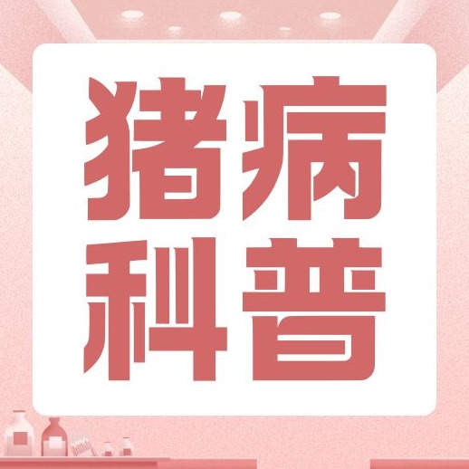 猪拉肚子还不停喘气，治呼吸道药毫无效果？