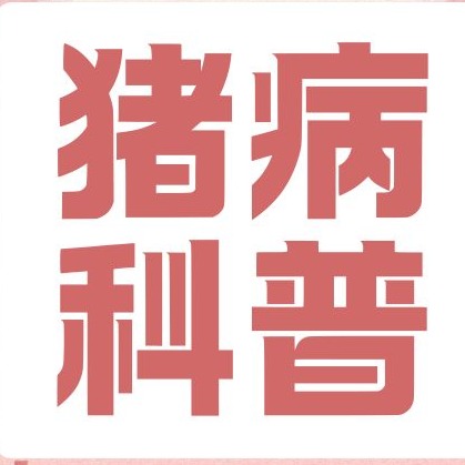 仔猪多病难养？元凶是母猪垂直传播