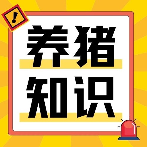 夏季养猪6大杀手，个个损耗极大