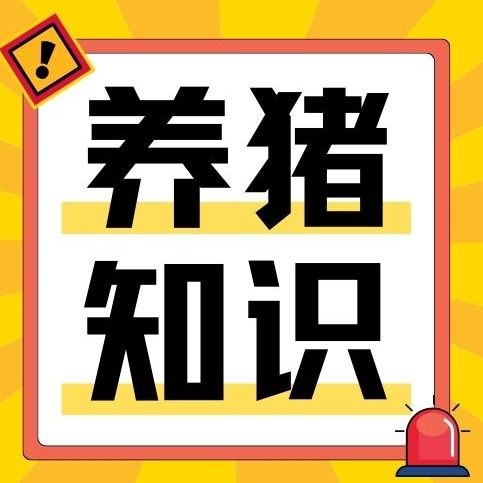 夏季猪场如何降温？这些情况要注意