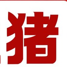 7月仔猪价格大涨120元/头，这是什么信号？8月猪苗行情要反转？