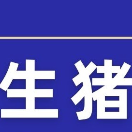 每头亏近140元！猪价反弹夭折，开学备货能否拯救猪市？