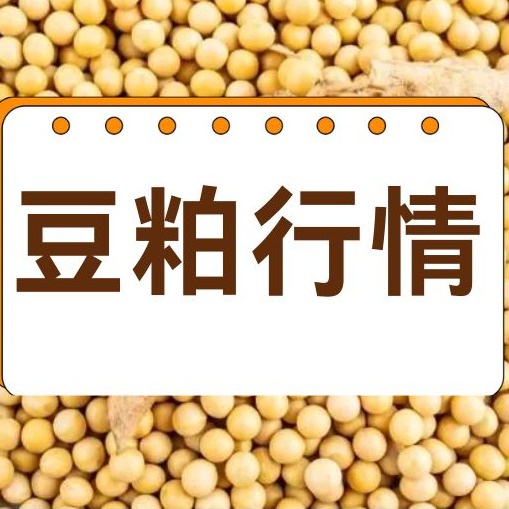 2026年7月29日全国各省市豆粕价格行情，豆粕震荡上涨！养殖端备货启动，接下来豆粕会持续涨价吗？