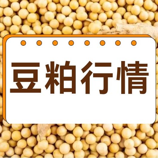2026年7月30日全国各省市豆粕价格行情，生猪亏损未好转 + 港口大豆扎堆到港，豆粕涨价没底气？