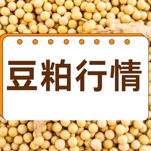 2026年7月31日全国各省市豆粕价格行情，大豆集中到港、库存持续累积，豆粕上涨空间受限？