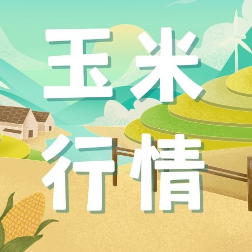 2026年7月31日全国各省市玉米价格行情，囤粮亏本、卖粮心疼！玉米持续落价，后市还能迎来上涨吗？