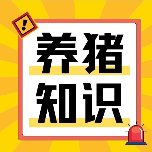 养猪人别瞎建场！从选址到建舍全套标准，少走几年弯路