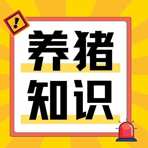 汛期疫病高发！中小型猪场分区域消毒药品搭配与操作注意事项