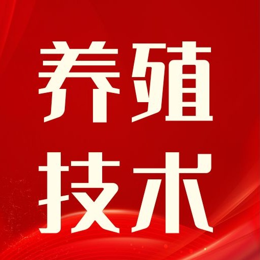夏季养猪总亏损？这些常见错误，很多养殖户都在犯