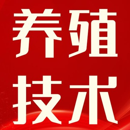 猪病混合感染难治愈？常见混感类型、对症治疗及防控技巧