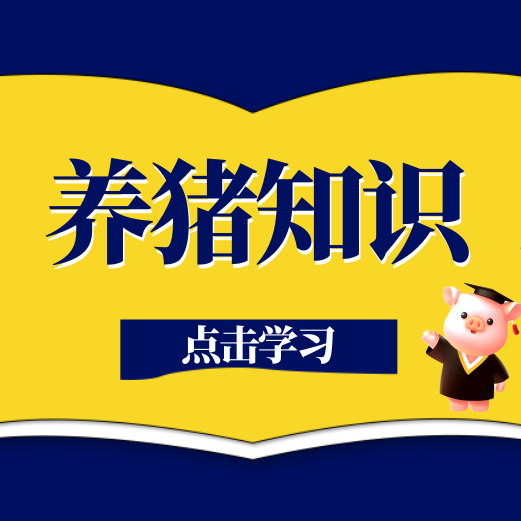 产房仔猪反复拉稀怎么办？