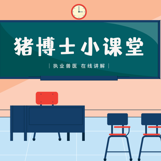 猪呼吸道疾病为什么难以治疗？
