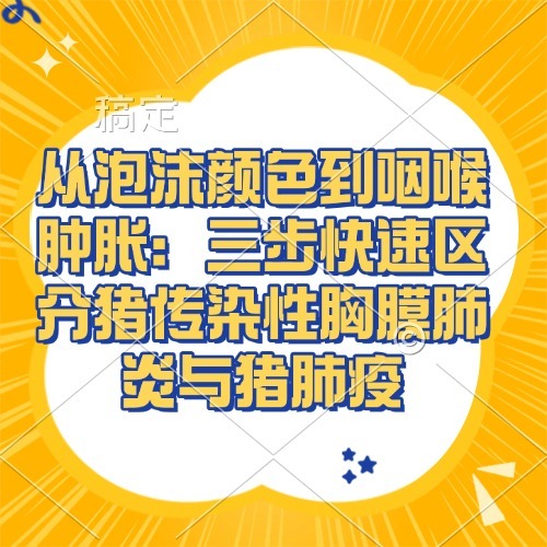 从泡沫颜色到咽喉肿胀：三步快速区分猪传染性胸膜肺炎与猪肺疫