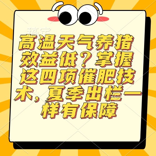 高温天气养猪效益低？掌握这四项催肥技术，夏季出栏一样有保障